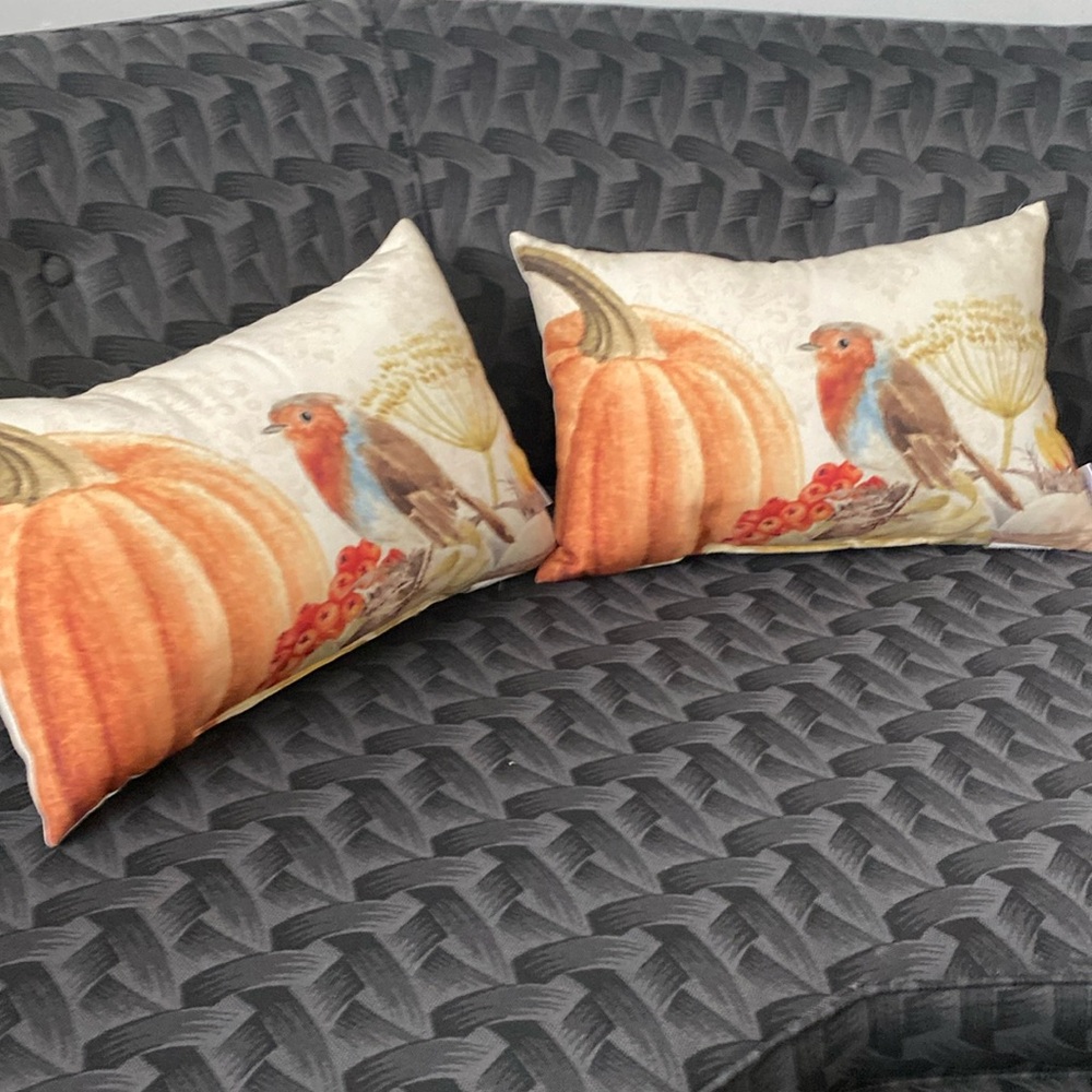 Bird sweet loving kindness decore pillows